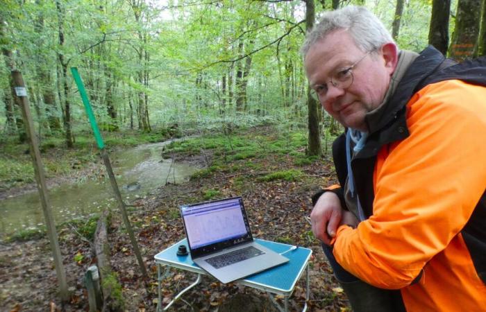 Im Wald von Chaux trägt die Sanierung der Wasserstraßen Früchte