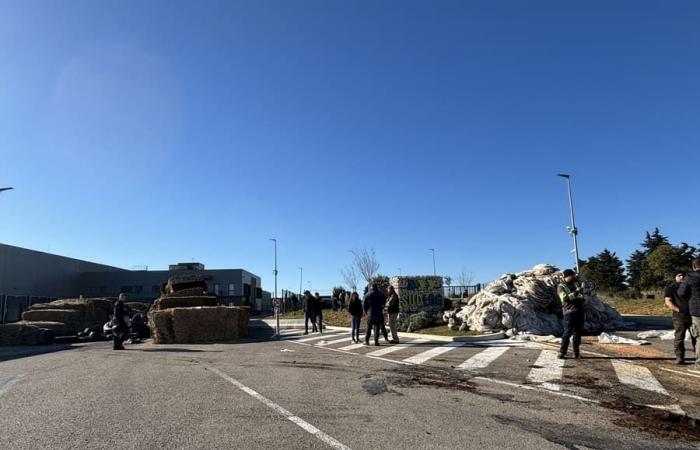 In Nîmes und Saint-Gilles haben die Bauern im Gard ihren Ton verschärft – Nachrichten