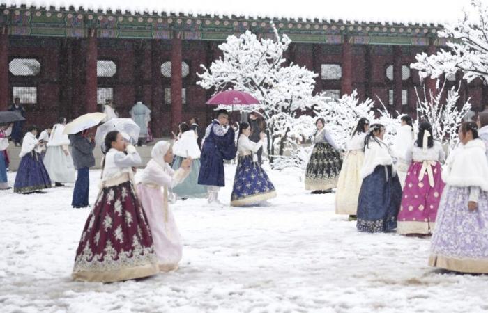 Der größte November-Schneesturm seit einem halben Jahrhundert trifft Seoul und setzt Flüge ab