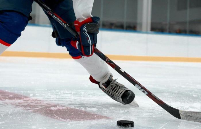 „Sicherheit wurde nicht respektiert“: Das Kind wurde getötet, nachdem es von einem Hockey-Puck getroffen wurde, verurteilten der Verein und die Eisbahn