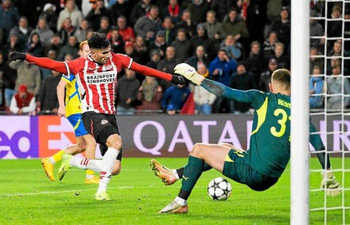 PSV stürzt Shakhtar, Real überwältigt: Was haben die künftigen Gegner von Stade Brestois getan?