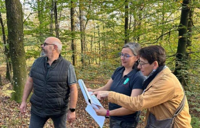 Auf der Suche nach morgen | Ardennen. Waldsport: Beaufsichtigen statt verbieten