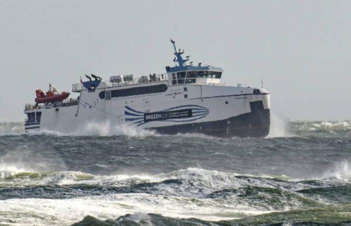 Sie brachte ihr Kind an Bord des Schiffes zwischen Groix und Lorient zur Welt