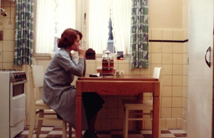 Chantal Akerman, sie, sie, wir…