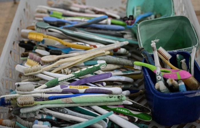 Chinesische Miaodao-Inseln | Plastikmüll wird zu Kunstwerken recycelt