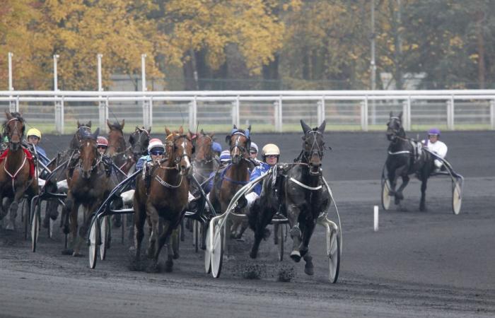 Die Prognosen für das Quinté de Vincennes für den 28. November 2024 von Pascale Remond-Lamie