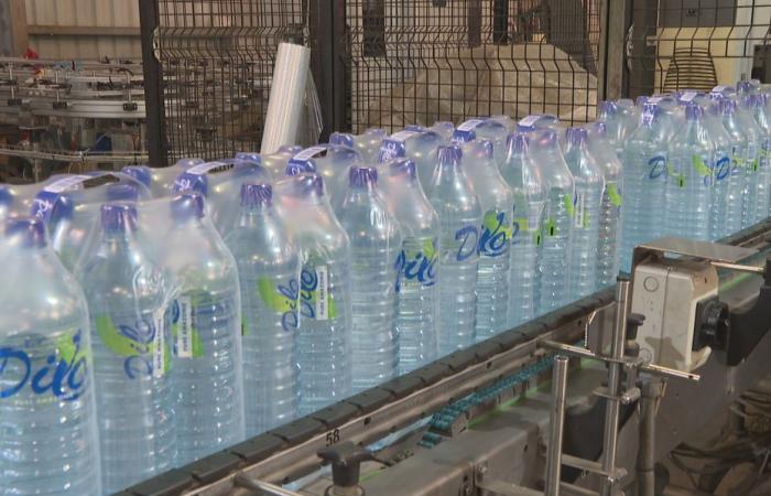 Warum war Dilo-Quellwasser in Guyana in den letzten Wochen selten?