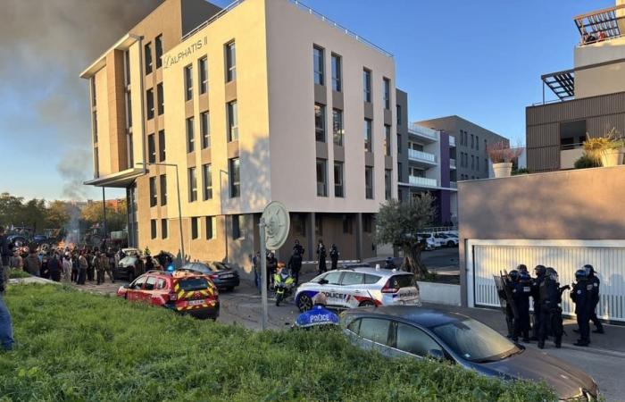 In Nîmes und Saint-Gilles haben die Bauern im Gard ihren Ton verschärft – Nachrichten