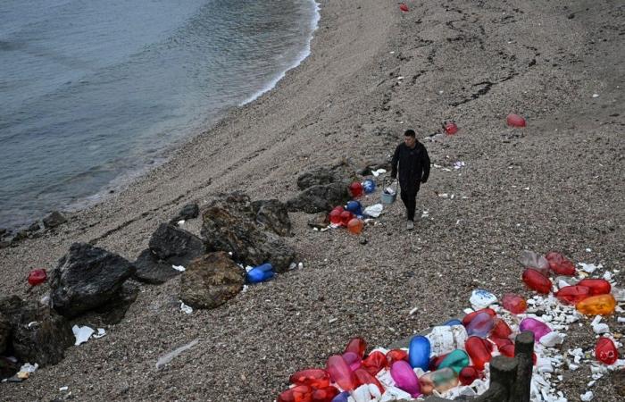 Chinesische Miaodao-Inseln | Plastikmüll wird zu Kunstwerken recycelt