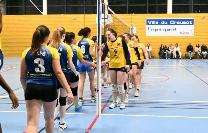 VOLLEYBALL: Nur die Männer von Le Creusot haben gewonnen… Die Frauen haben alles verloren…