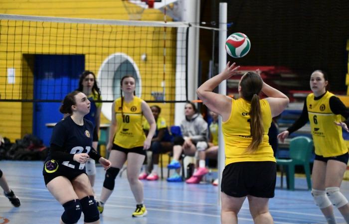 VOLLEYBALL: Nur die Männer von Le Creusot haben gewonnen… Die Frauen haben alles verloren…