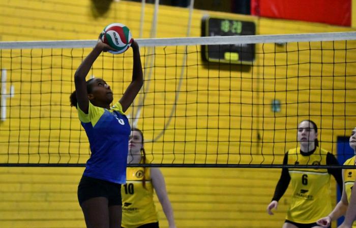 VOLLEYBALL: Nur die Männer von Le Creusot haben gewonnen… Die Frauen haben alles verloren…