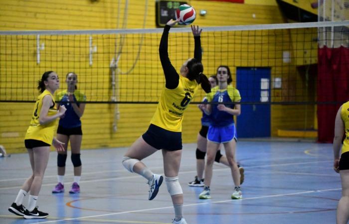 VOLLEYBALL: Nur die Männer von Le Creusot haben gewonnen… Die Frauen haben alles verloren…