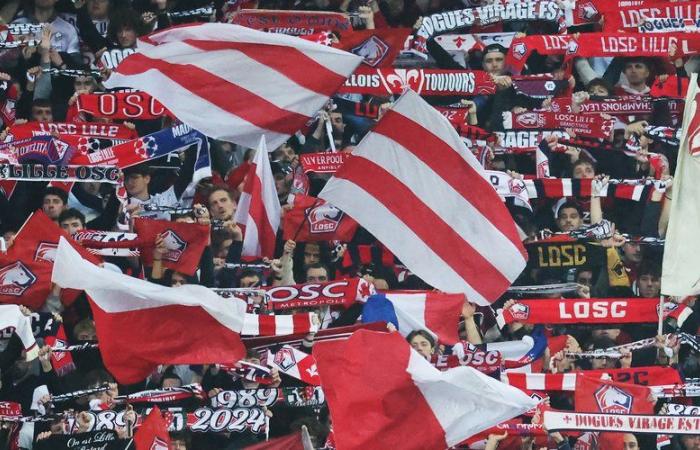 Champions League: „Seine Nase hing“, „wir sahen den Tod“ … Die große Angst der Lille-Fans, die in Bologna mit Messern angegriffen wurden