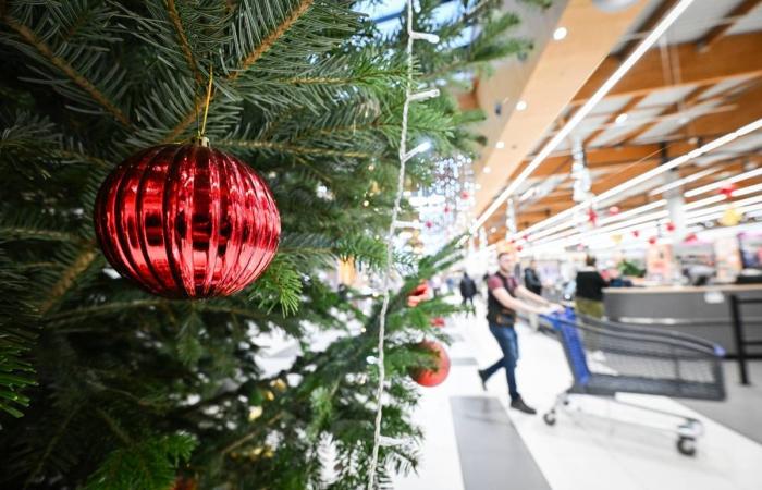 Überschwemmung im Stadtzentrum von Nevers, unser Sonderbericht über Wälder… Die unvergesslichen Nachrichten von diesem Mittwoch