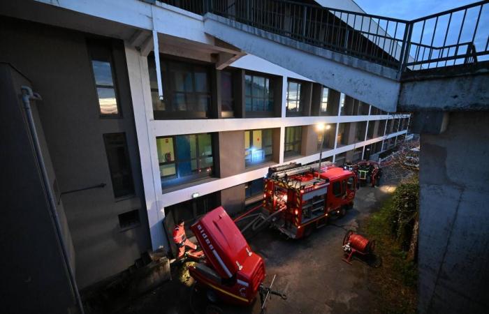 Überschwemmung im Stadtzentrum von Nevers, unser Sonderbericht über Wälder… Die unvergesslichen Nachrichten von diesem Mittwoch