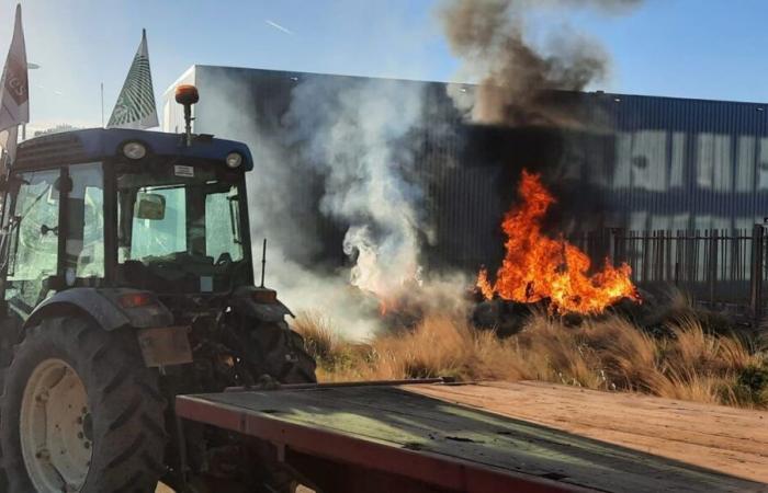 VIDEO – Wütende Bauern: In Nîmes brennt es vor dem Hauptsitz der Crédit Agricole