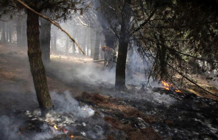 Waldbrände im Süden Ecuadors „unter Kontrolle“.