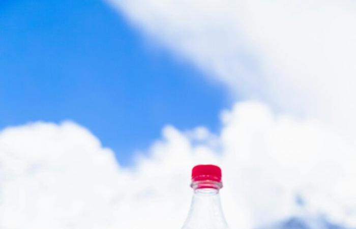 France Nature Environnement reicht eine Beschwerde gegen Coca-Cola wegen Greenwashing ein