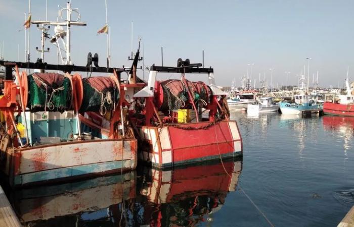 Verdacht auf Veruntreuung öffentlicher Gelder: Durchsuchung im Hafen von Lorient im Morbihan