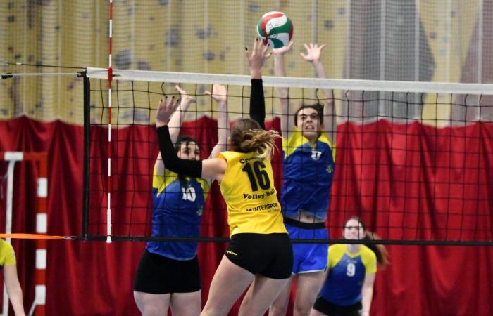 VOLLEYBALL: Nur die Männer von Le Creusot haben gewonnen… Die Frauen haben alles verloren…