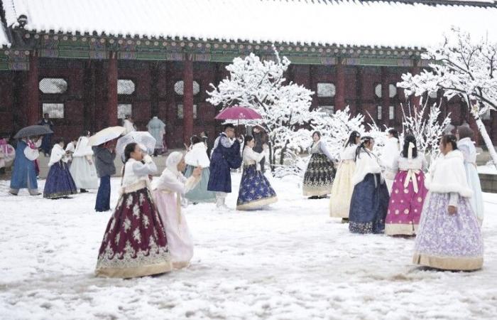 Der größte November-Schneesturm seit einem halben Jahrhundert trifft Seoul und setzt Flüge ab