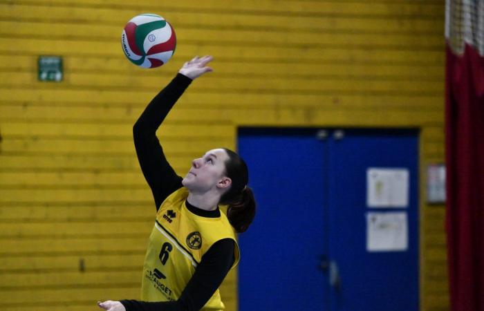 VOLLEYBALL: Nur die Männer von Le Creusot haben gewonnen… Die Frauen haben alles verloren…