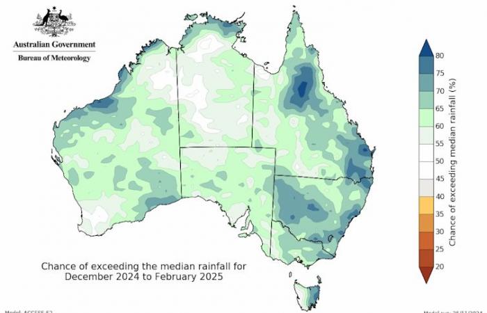 Dieser Sommer wird für die meisten Australier wahrscheinlich nasser und wärmer, so die Prognose des Büros