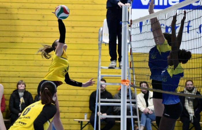 VOLLEYBALL: Nur die Männer von Le Creusot haben gewonnen… Die Frauen haben alles verloren…