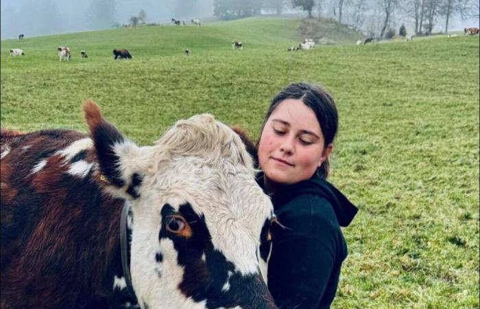 Haut-Jura. Hat dieser junge Landwirt eine Chance, Miss Agricultural France zu werden?