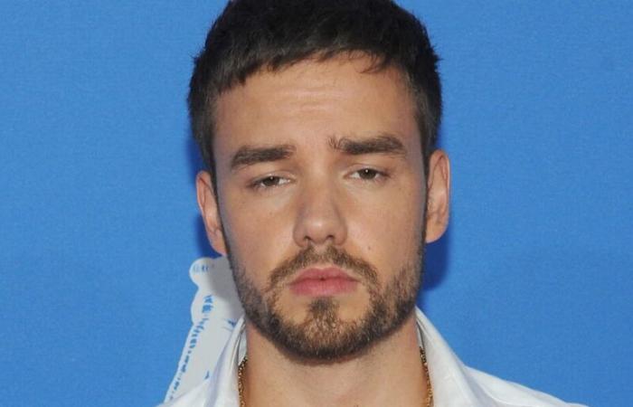 Tod von Liam Payne: Dieses Großprojekt zu Ehren des verstorbenen Sängers könnte das Licht der Welt erblicken