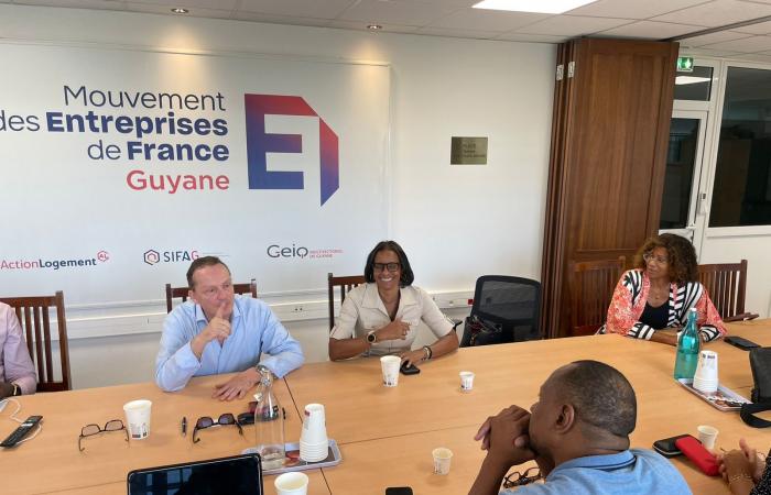 Guyana: Besuch des Präsidenten von UDE-MEDEF Guadeloupe, um Themen zu bündeln