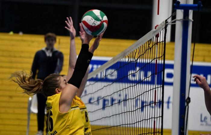 VOLLEYBALL: Nur die Männer von Le Creusot haben gewonnen… Die Frauen haben alles verloren…