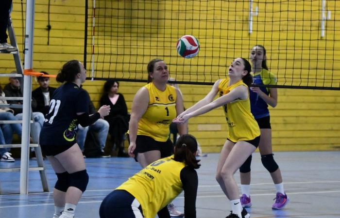 VOLLEYBALL: Nur die Männer von Le Creusot haben gewonnen… Die Frauen haben alles verloren…