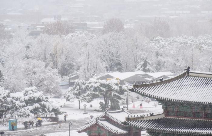 Bilder vom Rekordschneefall in Seoul im November