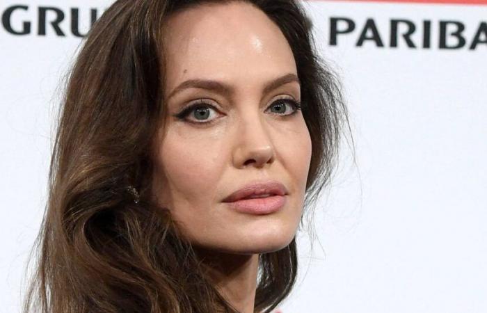 Brad Pitt und Angelina Jolie: „Entscheidende Beweise“ für den mutmaßlichen Missbrauch des Schauspielers werden bald enthüllt