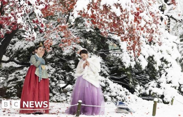 Seoul ist vom heftigsten Novemberschnee aller Zeiten bedeckt