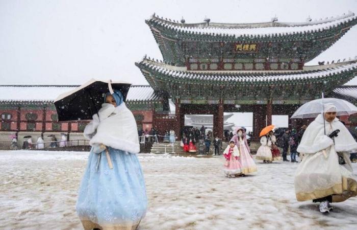 IN BILDERN. Mehr als 16 cm Schnee in Seoul, ein Rekord seit mehr als einem Jahrhundert