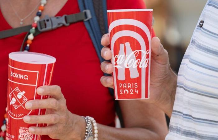 Die NGO France Nature Environnement reicht eine Beschwerde gegen Coca-Cola wegen Greenwashing ein