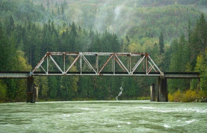 Er war am Samstag verschwunden: Mathieu, 15, wurde nach dreitägiger Suche tot unter einer Brücke aufgefunden