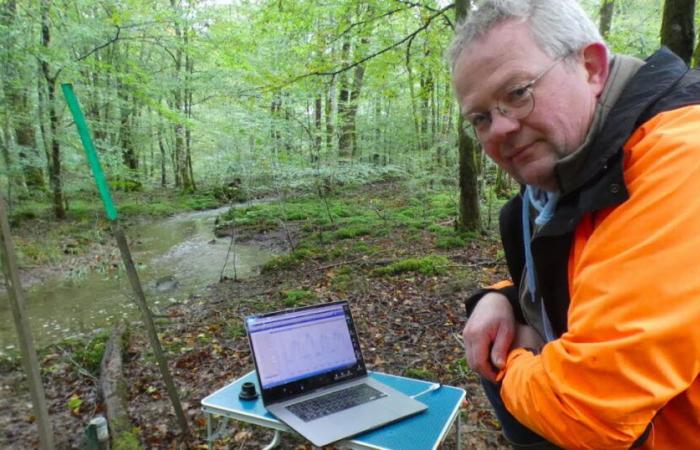 Habe geschworen. Im Wald von Chaux trägt die Sanierung der Wasserstraßen Früchte