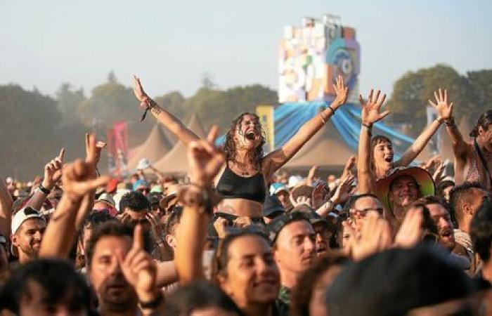 Wer wird bei Vieilles Charrues 2025 dabei sein? Hier sind unsere Vorhersagen