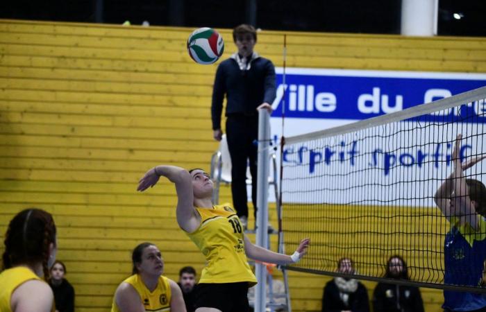 VOLLEYBALL: Nur die Männer von Le Creusot haben gewonnen… Die Frauen haben alles verloren…