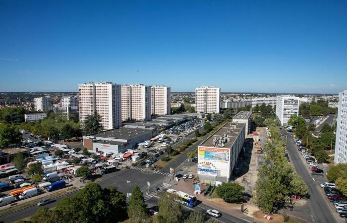 Sonderausgabe HIER 12/13 aus dem Viertel Couronneries in Poitiers