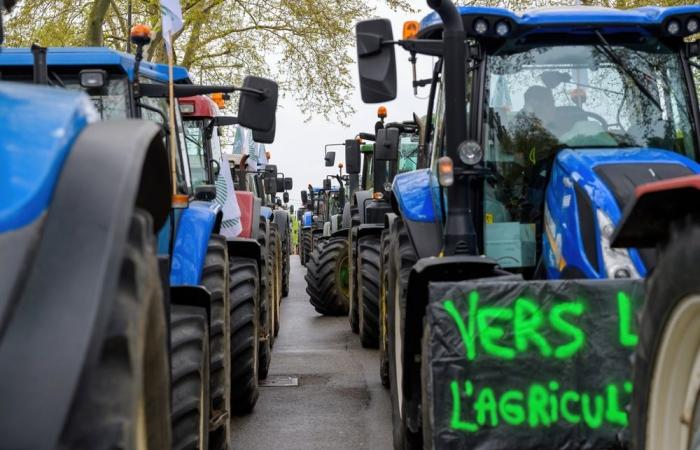 Rekordmobilisierung der Bauern in Tarn-et-Garonne