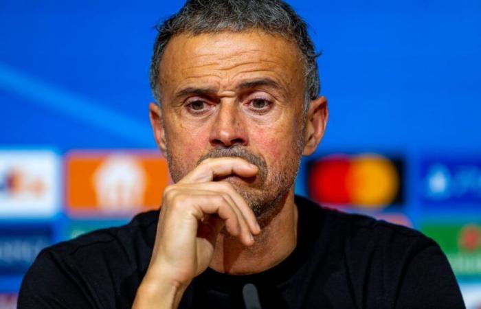 PSG: Riolo schlägt Luis Enrique mit einer Pointe nieder!