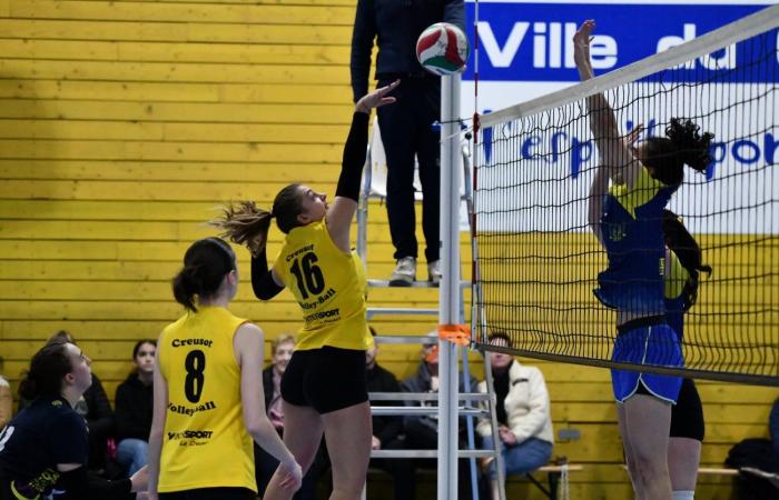 VOLLEYBALL: Nur die Männer von Le Creusot haben gewonnen… Die Frauen haben alles verloren…