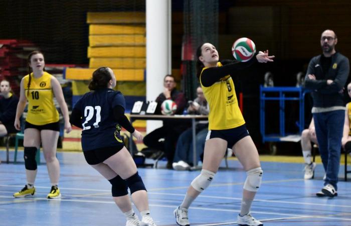 VOLLEYBALL: Nur die Männer von Le Creusot haben gewonnen… Die Frauen haben alles verloren…