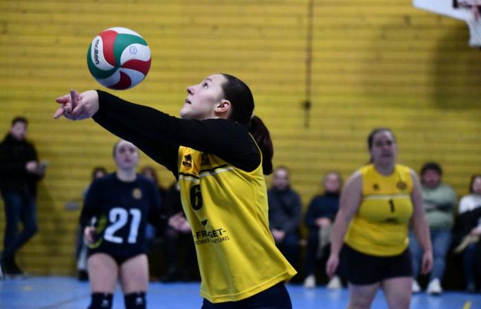 VOLLEYBALL: Nur die Männer von Le Creusot haben gewonnen… Die Frauen haben alles verloren…