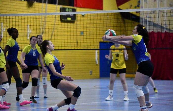 VOLLEYBALL: Nur die Männer von Le Creusot haben gewonnen… Die Frauen haben alles verloren…